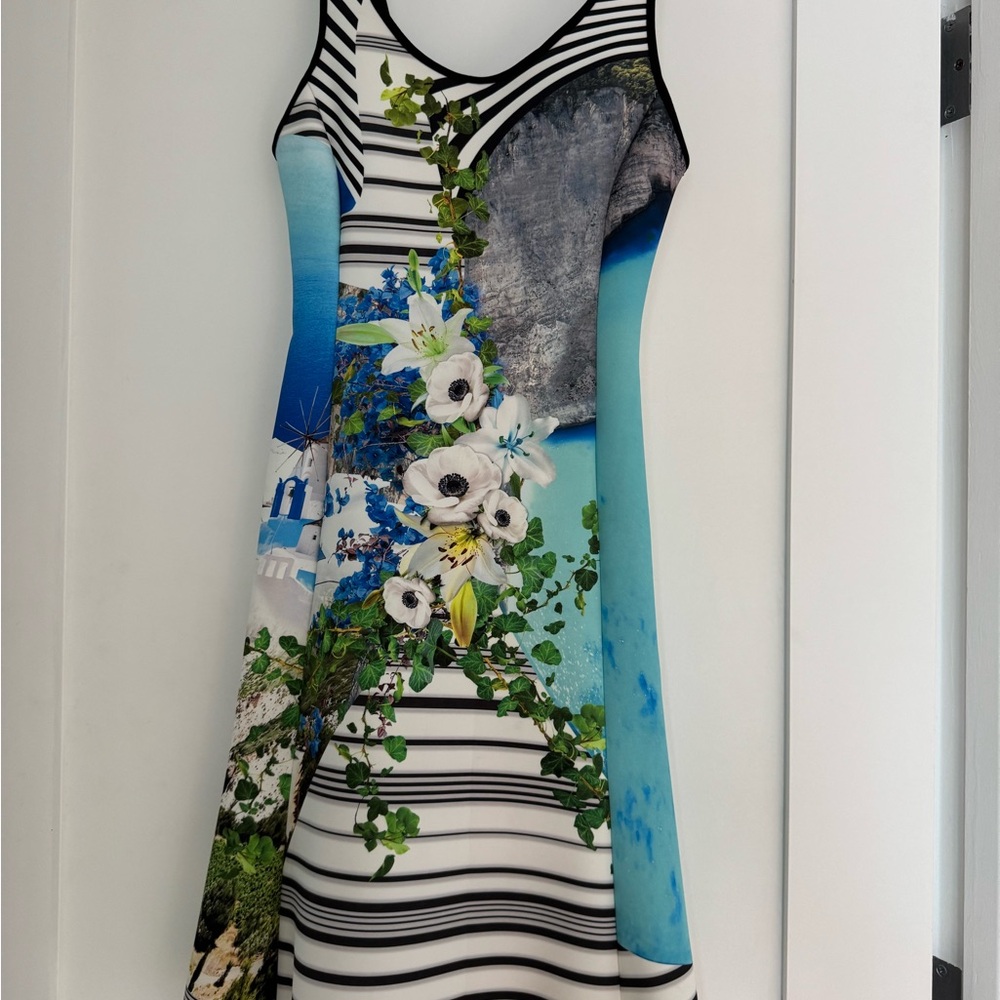 Clover Canyon Greek Isles Floral Print Dress - XS